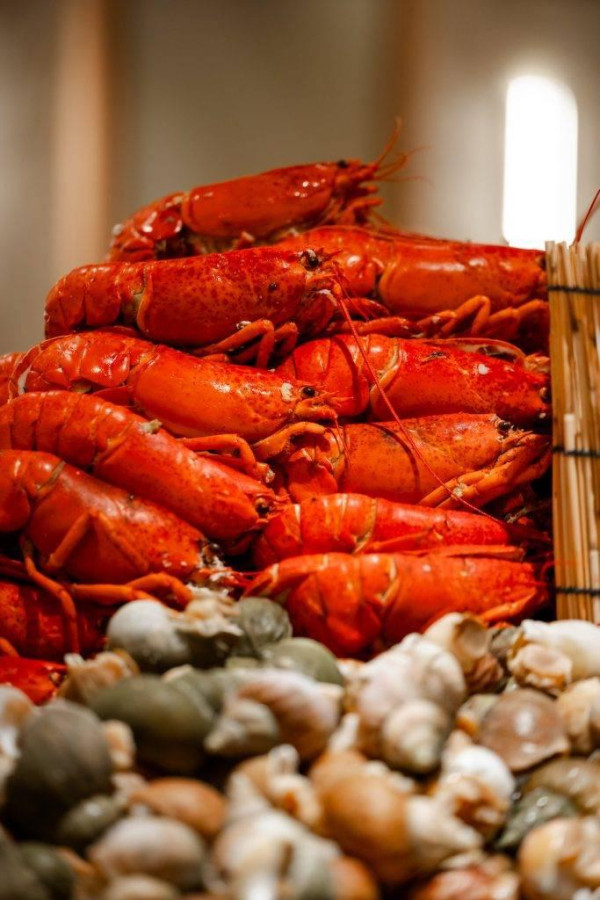 沙田帝都酒店自助餐買一送一！人均$264任食生蠔／龍蝦／和牛鐵板燒 聖誕除夕適用