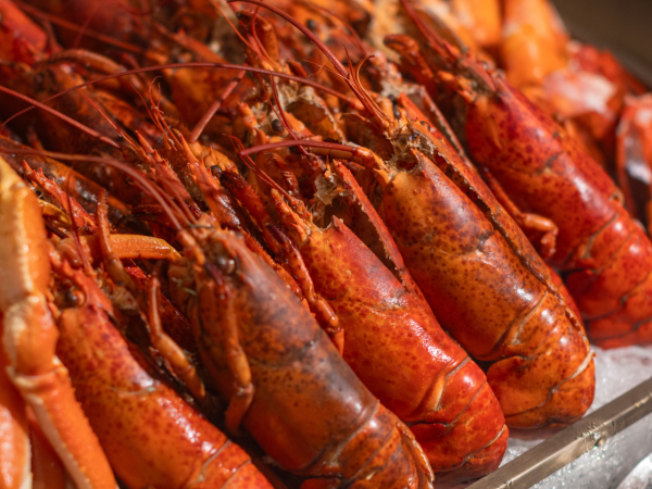 文華東方酒店自助餐優惠|快船廊Clipper Lounge自助晚餐優惠!任食冰鎮海鮮/即切烤牛肉/送現金券