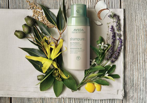 Aveda 純香乾洗爽髮粉