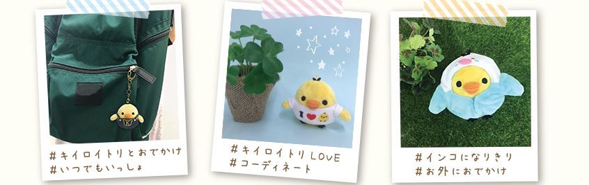 Kiiroitori 套裝 Kiiroitori 套裝