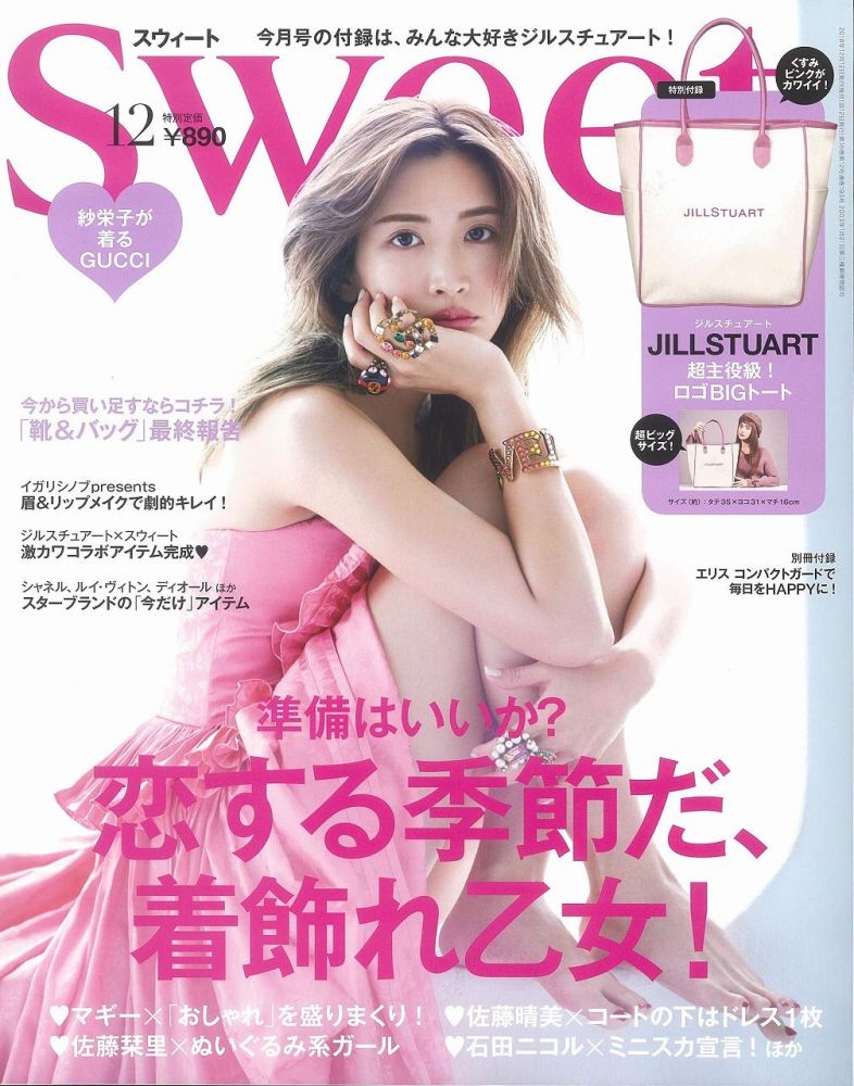 日本雜誌 Sweet 2018年12月號日雜附錄