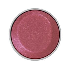 CHICCA 10 PINK LIP COLLECTION