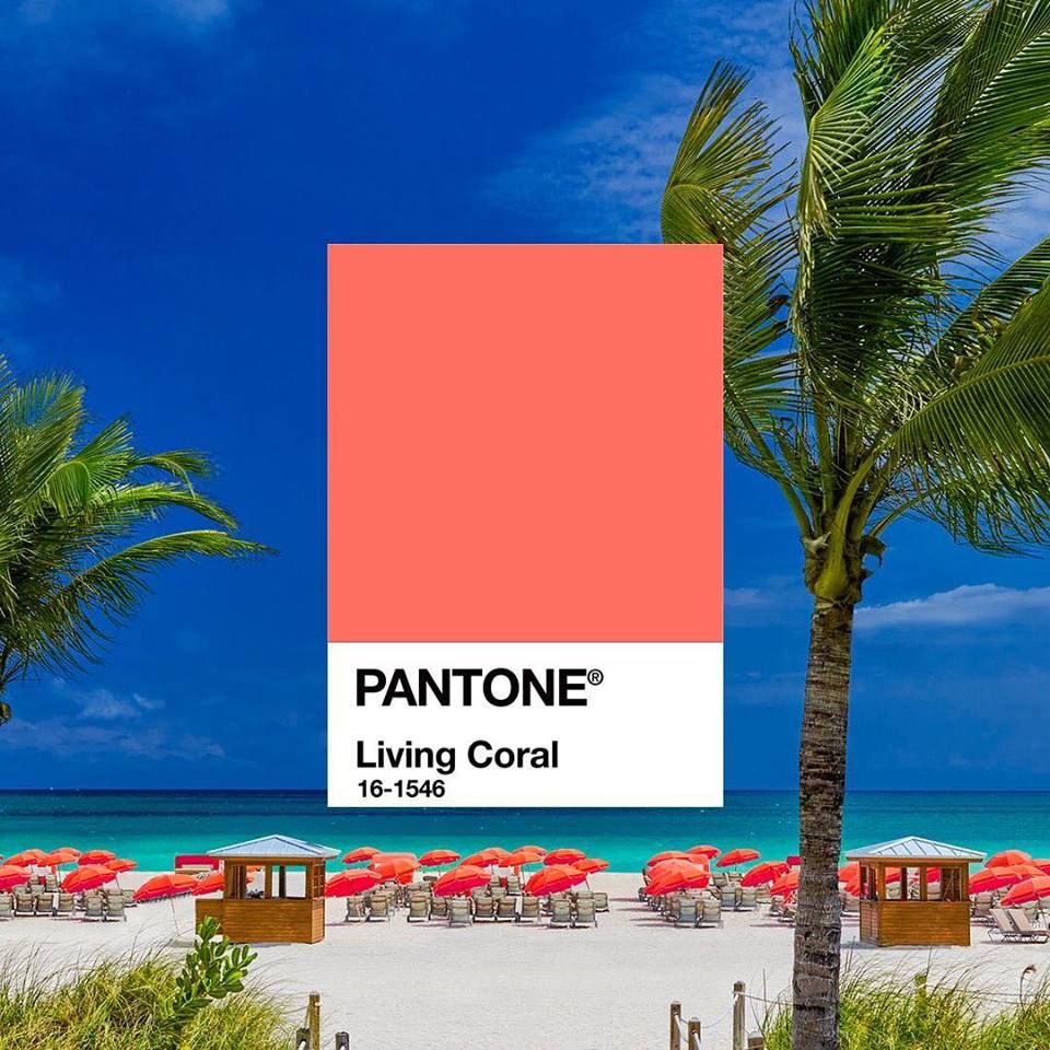 Pantone公布2019代表色︰Living Coral！活潑粉嫩珊瑚色！春季流行色調！