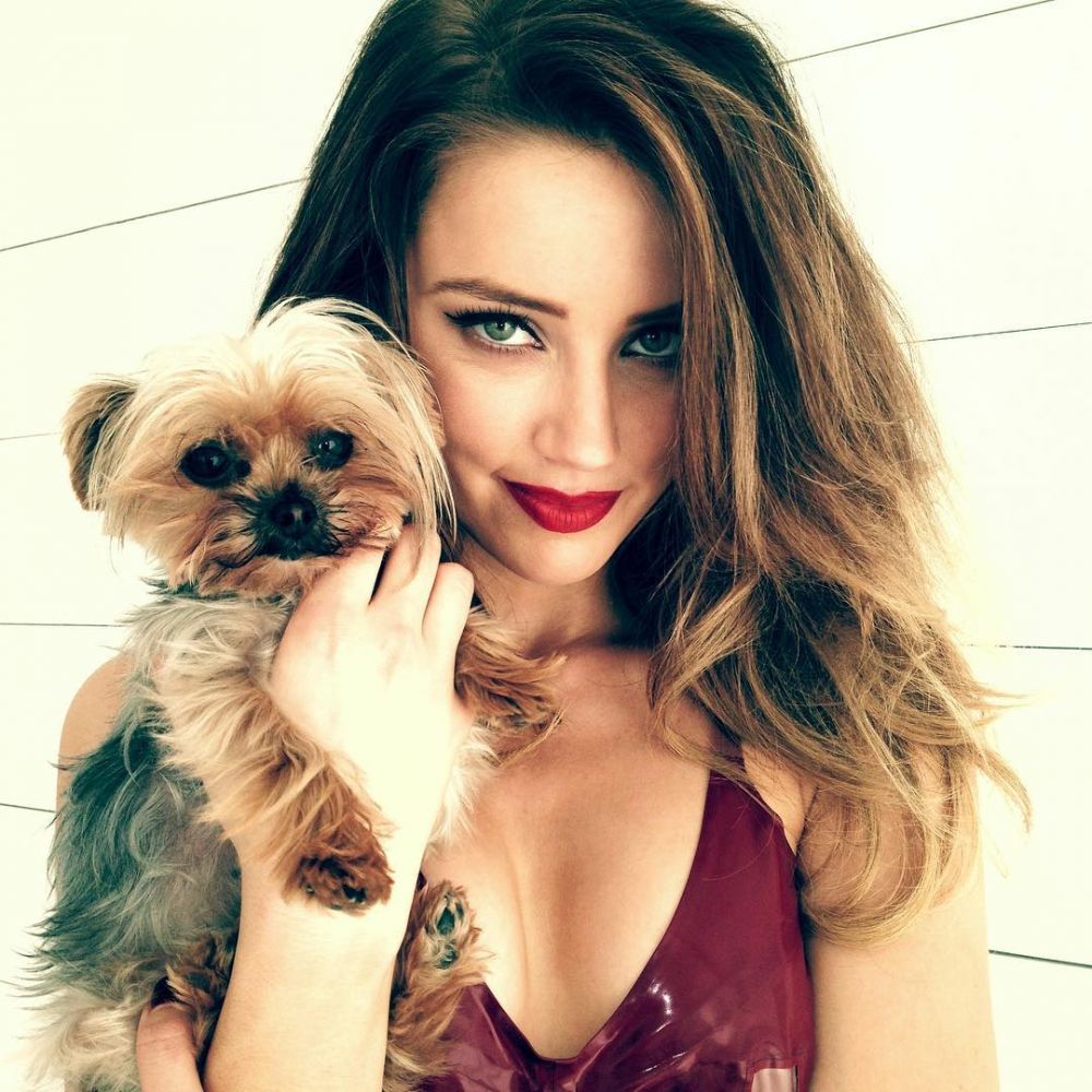 電影《水行俠》女主角Amber Heard塗上招牌紅唇，與她飼養的小狗Pistol合照。