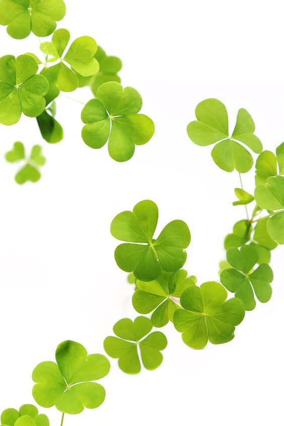 若葉色(嫩綠色)  現階段覺得戀愛是件麻煩事，欠缺戀愛的衝勁，只想和女性朋友聚在一起。就利用春天好好休息一下，待夏天來到時再次尋覓愛情。