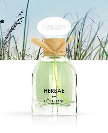 HERBAE L'OCCITANE en Provence perfume