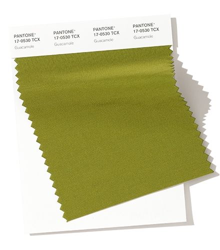鱷梨綠：是一種充滿養份的綠色，鱷梨綠營造出清爽的基底。