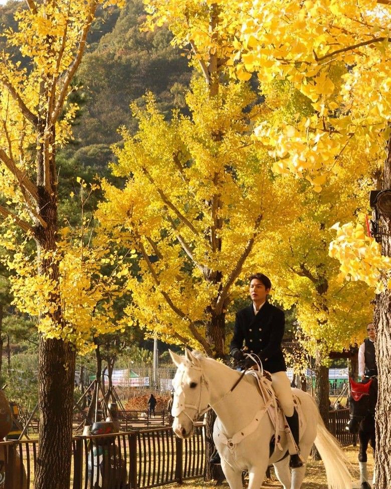 路透照中可見李敏鎬身穿黑色西裝外套與白色褲子，騎著白馬穿梭在銀杏樹林。照片曝光隨即引起網民熱議，大讚他激似「白馬王子」。（圖片來源：微博@韓國me2day）