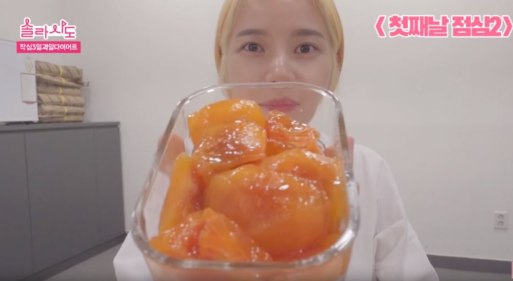 【午餐2】而午餐2則在會7點多的時間進行～頌樂提到，柿子具有豐富的維他命A及C，可以助我們恢復體力、預防感冒、改善內臟功能、增強免疫力等待。