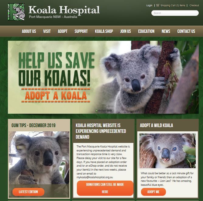 Step1：先進入澳洲樹熊醫院 Australia Koala Hospital網站，點擊「Adopt Me」。