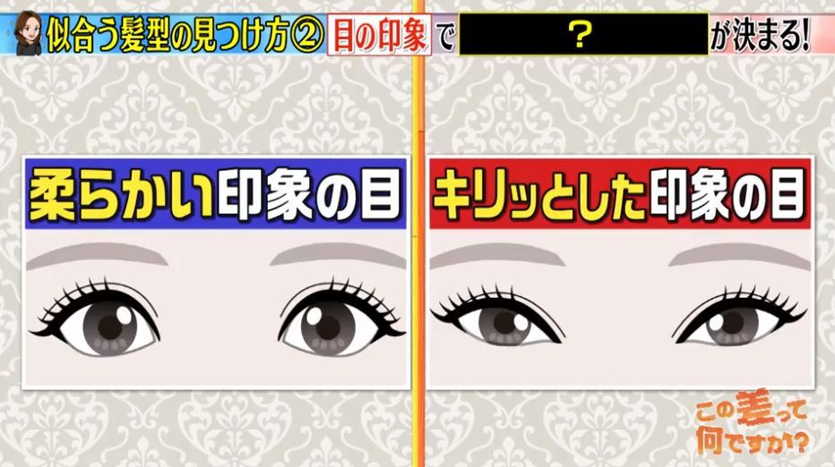 眼睛的印象分為「溫柔」及「凌厲」。