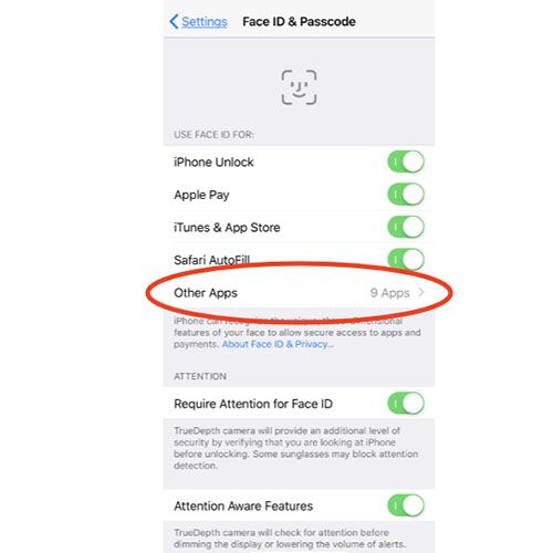 2. 輸入手機密碼，進入頁面後可選擇停用「解鎖 iPhone」、「iTunes 與 App Store」、「Apple Pay」、「自動填寫密碼」。
