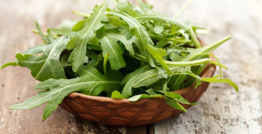 8. 芝麻葉 Arugula 芝麻葉也就是火箭菜，它擁有極高的鈣質，是菠菜的8倍，更有維他命C的抗氧化作用，幫助膠原蛋白形成。