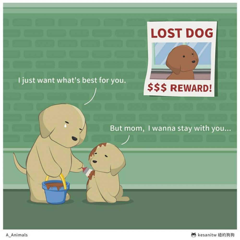 「別硬把自己的想法強行套於別人的價值。」