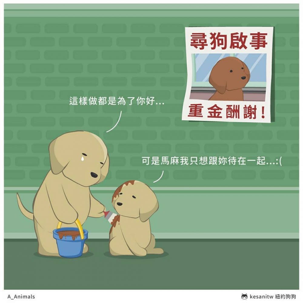 「別硬把自己的想法強行套於別人的價值。」