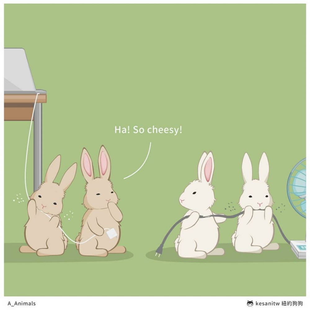 「不要隨便比較，別人喜歡的東西你未必懂得欣賞。」