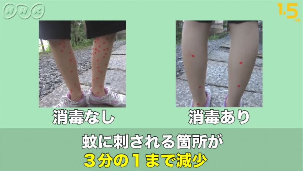 在田上與妹妹的一次實驗中，兩人分別紀錄自己的腿部在5分鐘內被蚊子叮了多少下。
