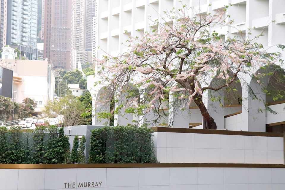香港美利酒店The Murray外觀