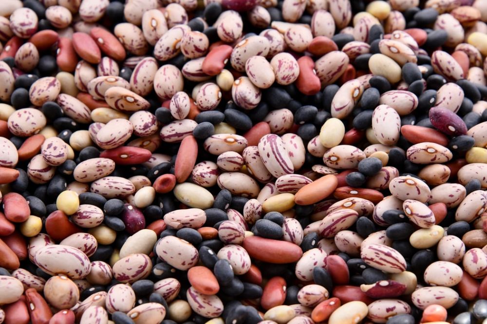 8. 豆類  豆子一直都是很健康的食物，大部分的豆子也有豐富的蛋白質和抗氧化物，像是100克的綠蠶豆當中便有2mmol抗氧化物，能幫助抑制癌細胞生長。