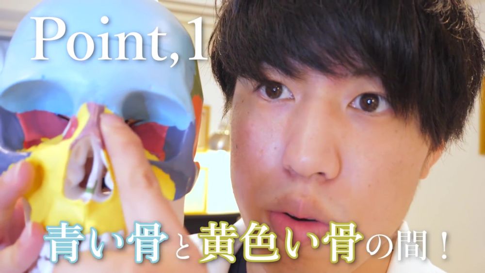 位置是藍色及黃色骨頭的中間。可以雙手(左右)同時進行。