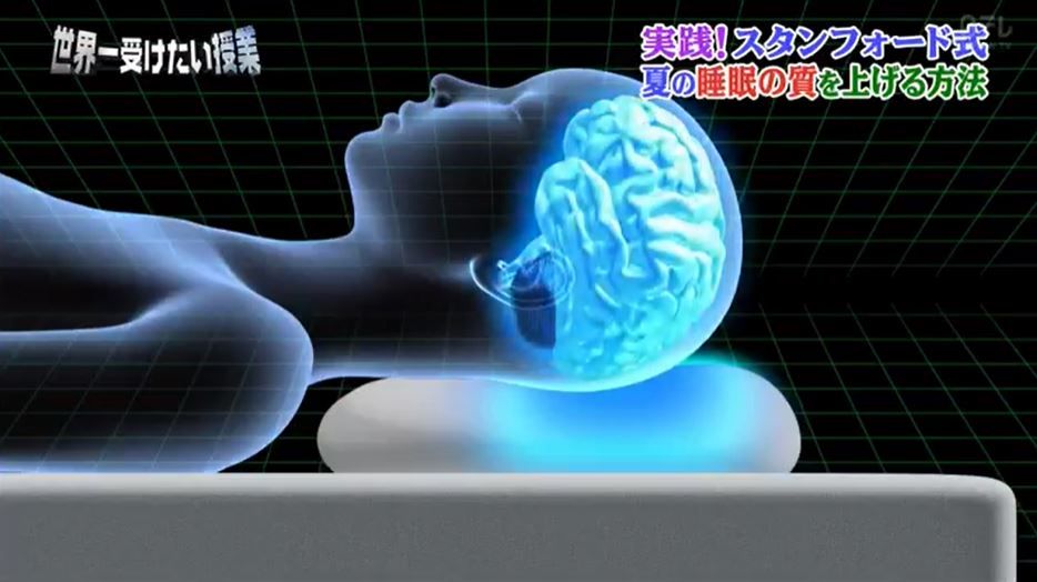 重點是放置於枕頭的上半部分，冷卻耳朵上方的位置。