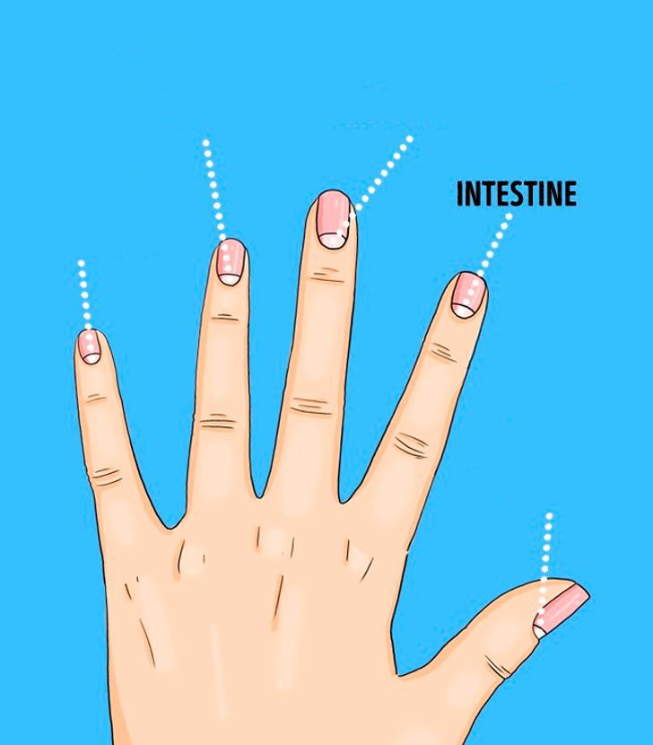 食指：食指的月牙即代表着胰臟、腸道以及呼吸道系統。
