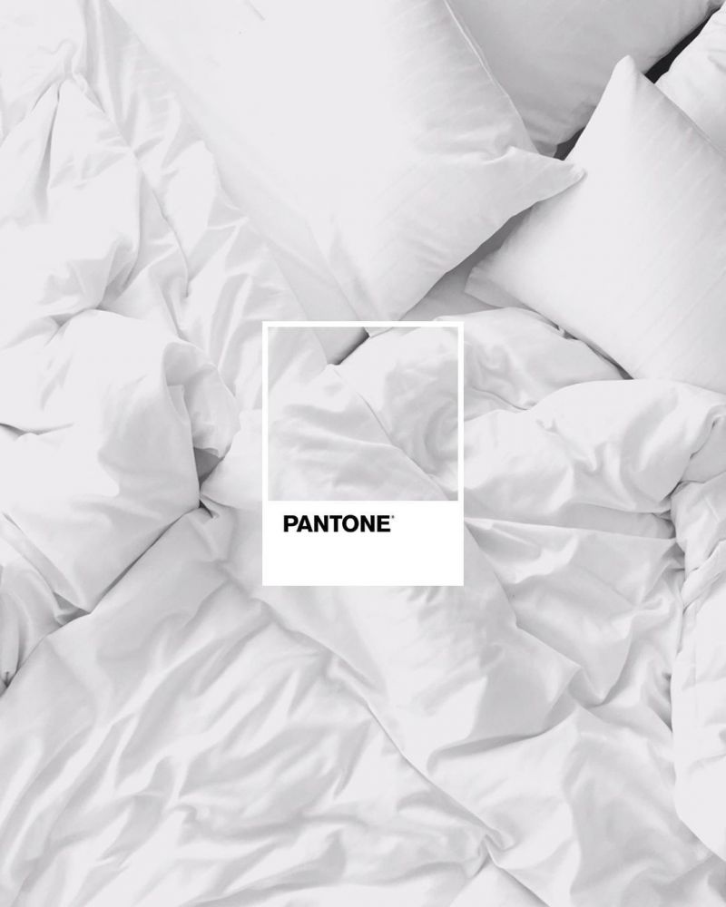 Cancer 巨蟹座 – 白色／銀色 – 如天鵝的羽毛般潔白的顏色，可跟任何色彩配搭而不突兀。跟情感豐富、樂於助人、隨和的巨蟹座性格相乎，日常多穿白色或銀色的衣物，都能放大你的特質。