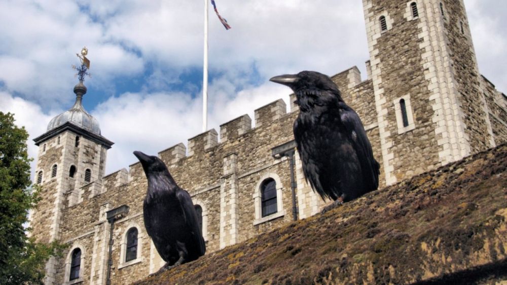 除此之外，原來英國王室都有不同迷信的地方，包括根據他們的傳說，在倫敦塔上面必須要保留六隻烏鴉，否則英國王室就會崩塌。但是直到如今應該沒有皇室成員會相信吧？