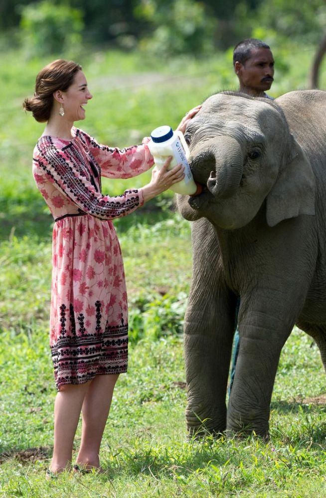 2016年4月穿上Zara印花連身裙在印度餵大象