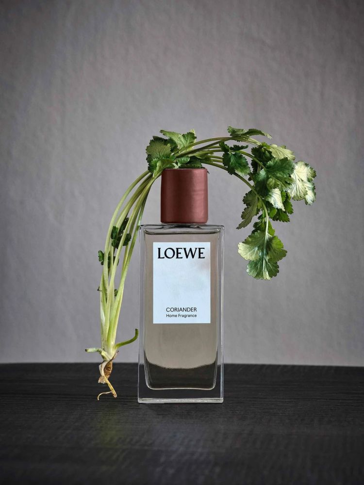 LOEWE Coriander room spray 芫荽室內噴霧 150ml | HK$ 800 西班牙奢侈品牌LOEWE為廣大 「芫荽控」們推出了專屬香水，這樣就能每天都沐浴在芫荽地誘人香氣中了！