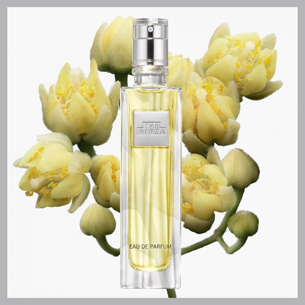 THE GINZA 御银座淡香氛 (18,000 日元/50ml)：日本品牌THE GINZA新推出的香水亦大受女生歡迎，以菩提樹花的香氣為基調，配以臻至清純的新鮮花香，帶出宜人的香氣。