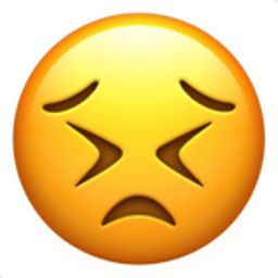 皺眉樣  原來皺眉的樣子不代表掙扎或絕望，而是代表著在努力和堅持！