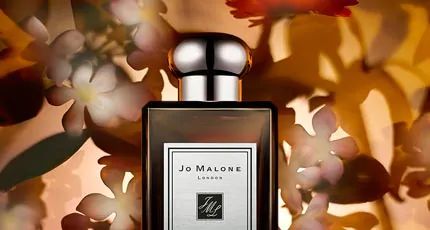 第2位　Jasmine Sambac & Marigold茉莉花與金盞花  |  珍貴阿拉伯茉莉，結合金盞花相互輝映。加入香草與琥珀溫暖氣息，香氣就如一陣清風拂過。隨著使用時越趨豐富的香調，喜歡茉莉花香的女生,，相信也會迷上它的香甜清香。可在睡前使用，就像被鮮花香味包裹著入睡。