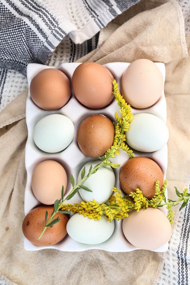 有助唇部肌膚變得健康的食物：鷄蛋。