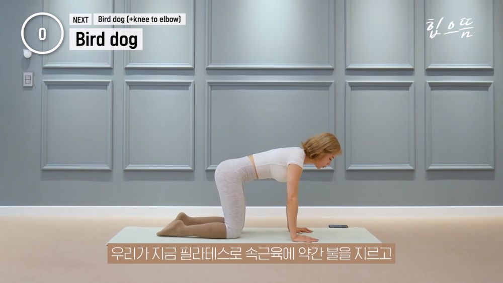 【動作5：Bird dog 跪姿撐體】屈膝跪在地上，雙手垂直放在肩膀下方，頭、頸、背部連成一直線，與雙腿呈90度