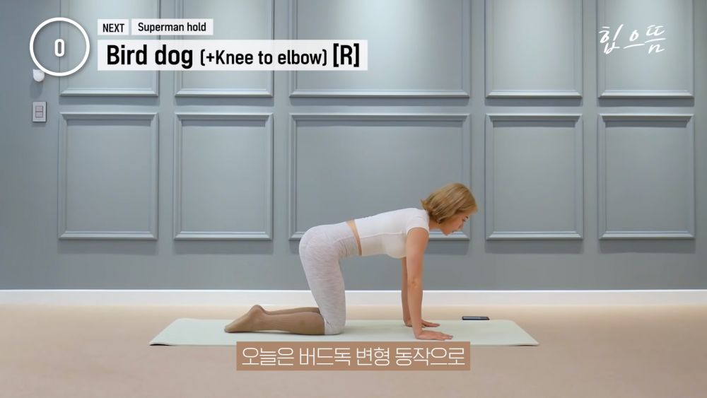 【動作6：Bird dog 跪姿撐體 (+Knee to elbow)】屈膝跪在地上，雙手垂直放在肩膀下方，頭、頸、背部連成一直線，與雙腿呈90度。
