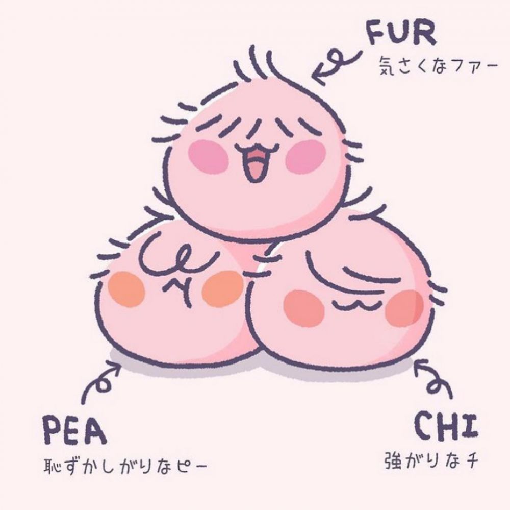 毛毛三胞胎分別是Fur、Pea、Chi，三位都有不同性格， FUR性格隨和、PEA性格傲嬌、而CHI喜歡裝模作樣～