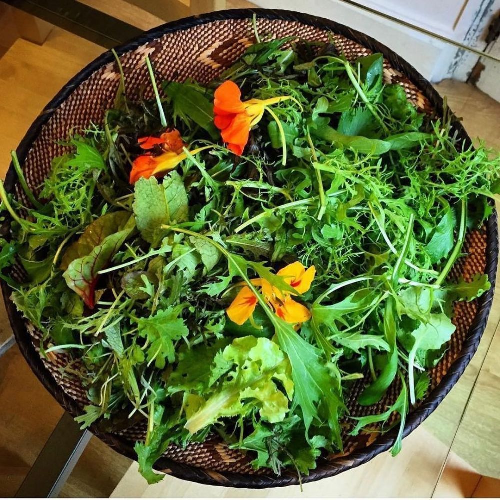 而Rinka亦喜歡利用蔥、蒜、醋、糖、鹽、黑胡椒和橄欖油製作健康沙律。