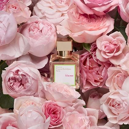 散發自然溫柔的玫瑰香氣，聞起來讓人有心動的感覺，難怪會被命名為「愛戀玫瑰」！