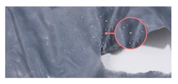 撕下後同時亦可以把黑頭、污垢和老廢角質清理掉，打造白滑美肌效果。