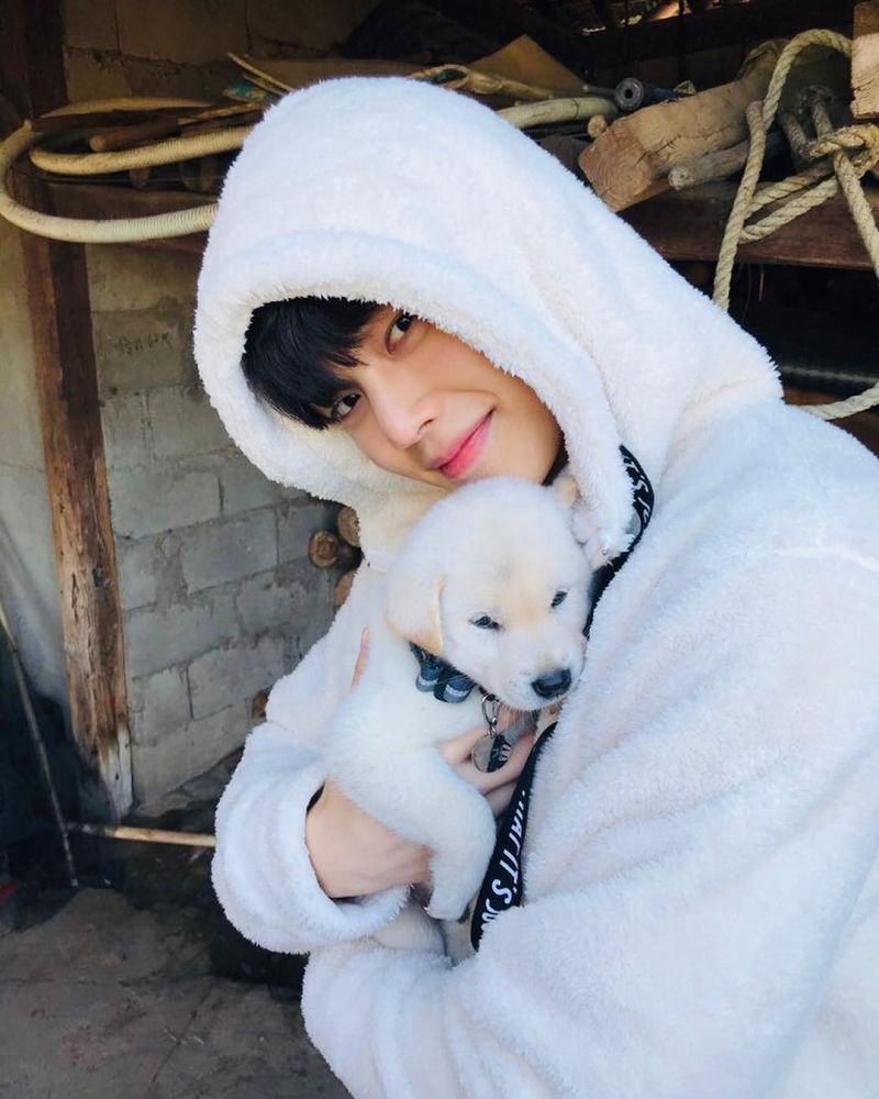 粉絲們千萬不要錯過了。