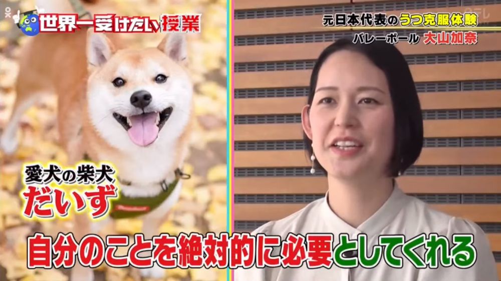 節目最後訪問了前日本女子排球國家隊代表大山加奈。她表示自己曾受抑鬱所困，但養了愛犬Daizu後，情況快速好轉，更可以停服抗抑鬱藥！