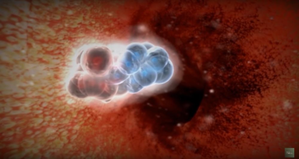 「嵌合體」大多出現於異卵雙胞胎身上；若其中一個胎兒在妊娠期死亡，他可能會以獨立DNA鏈的形式存在，與另一個胚胎融合。
