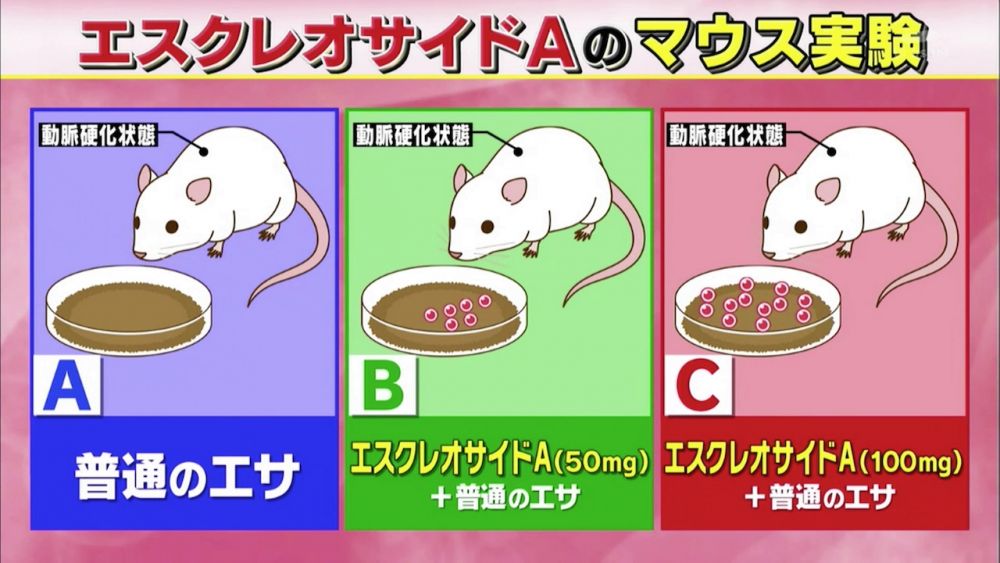 永井醫生於2003年聯同熊本大學進行研究，以老鼠進行生物實驗；他們於相同環境飼養三隻有動脈硬化徵狀的老鼠，並於糧食中加入不同程度的七葉甘糖A+（A鼠：0mg，B鼠：50mg，C鼠：100mg）。
