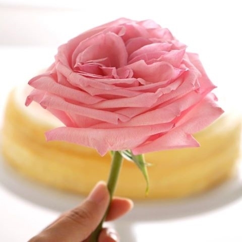 香港限定！全球首度亮相－「玫瑰千層蛋糕」