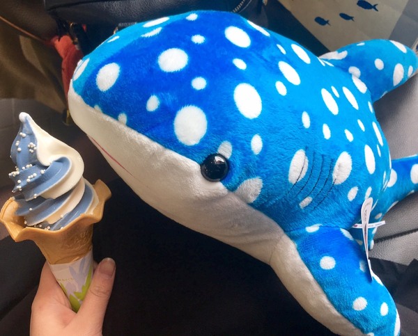 藍底白波點！日本海遊館鯨鯊雪糕