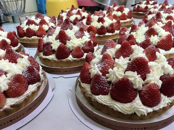 花蓮人氣蛋糕店～七彩乳酪蛋糕！