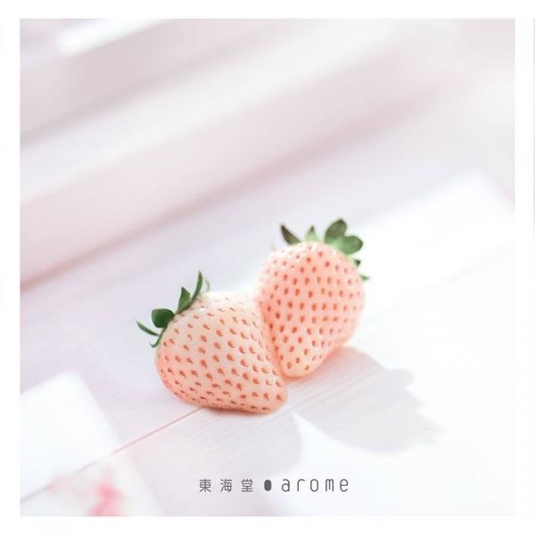 圍滿粉紅蛋糕粒粒!東海堂日本白士多啤梨系列