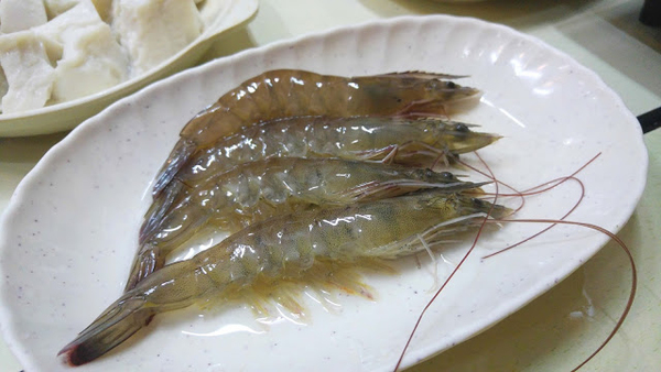 食鮮甜鮑魚、象拔蚌、蟶子　佐敦皮蛋粥底海鮮鍋小店