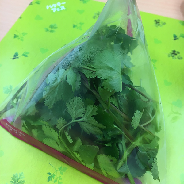 日本便利店芫茜祭！推出大量芫茜食品